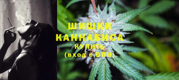 прущие грибы Балабаново