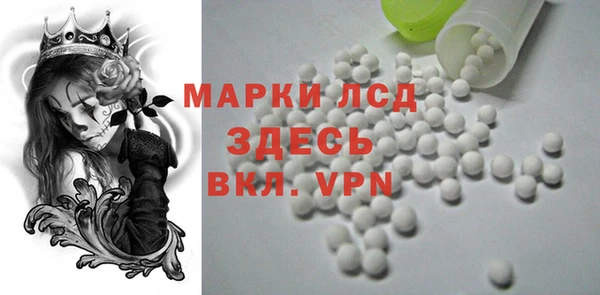 прущие грибы Балабаново