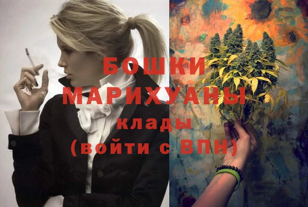 прущие грибы Балабаново