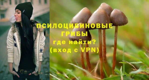 прущие грибы Балабаново